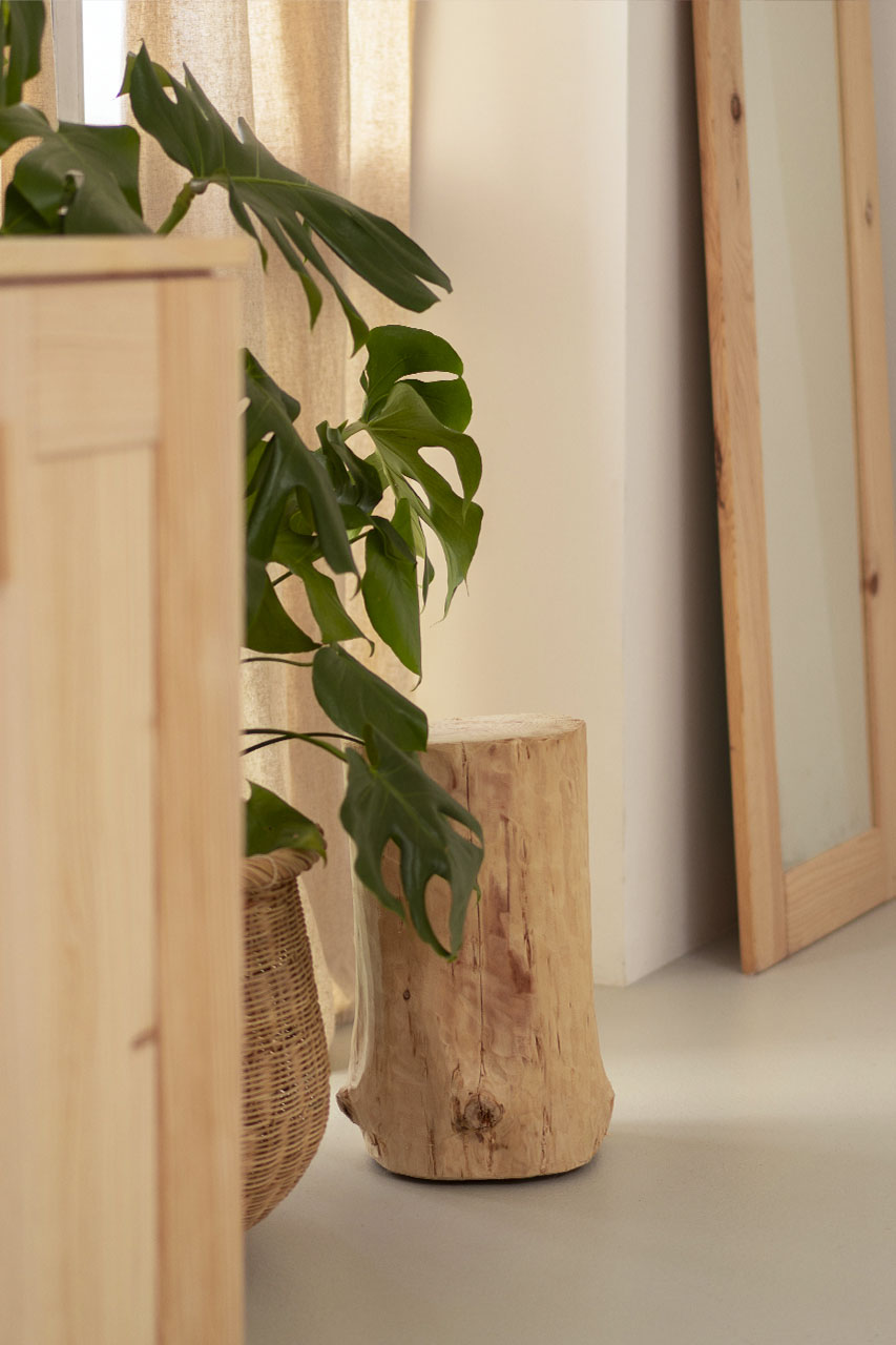 Imagen de ambiente 5 para:Tronco decorativo con ruedas